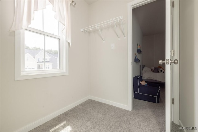 13042 Fieldfare Dr, Midlothian, VA 23112 - walk in closet featuring carpet