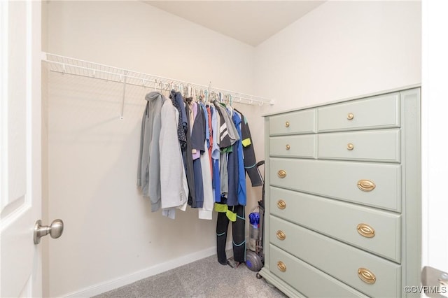 13042 Fieldfare Dr, Midlothian, VA 23112 - spacious closet with carpet