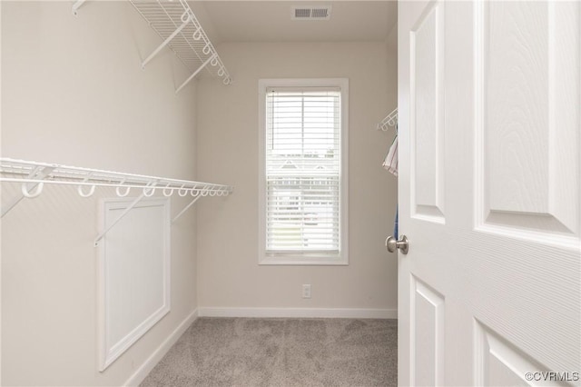 13042 Fieldfare Dr, Midlothian, VA 23112 - spacious closet featuring carpet flooring