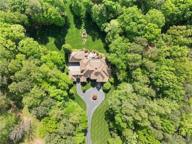 13519 Pungo Ct, Chesterfield, VA 23838 - aerial view of property and surrounding area