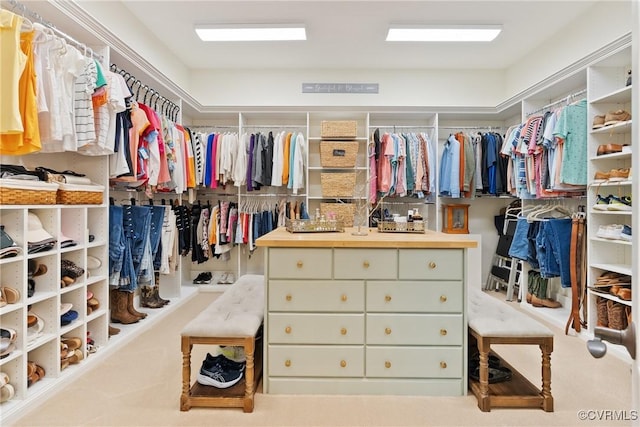 13519 Pungo Ct, Chesterfield, VA 23838 - view of walk in closet