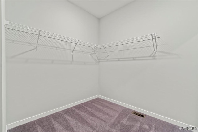 1343 Buckners Ln, Mineral, VA 23117 - spacious closet with carpet floors