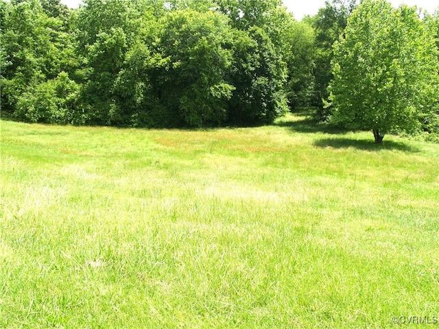 11001 Old Church Rd, New Kent, VA 23124 - view of yard
