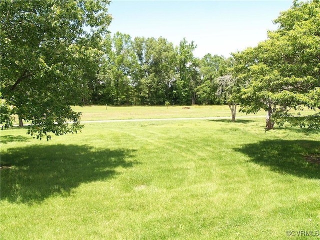 11001 Old Church Rd, New Kent, VA 23124 - view of green lawn