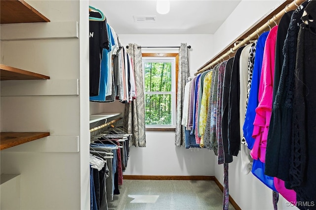 2805 Meeting Gate Ct, Chesterfield, VA 23112 - spacious closet with carpet flooring
