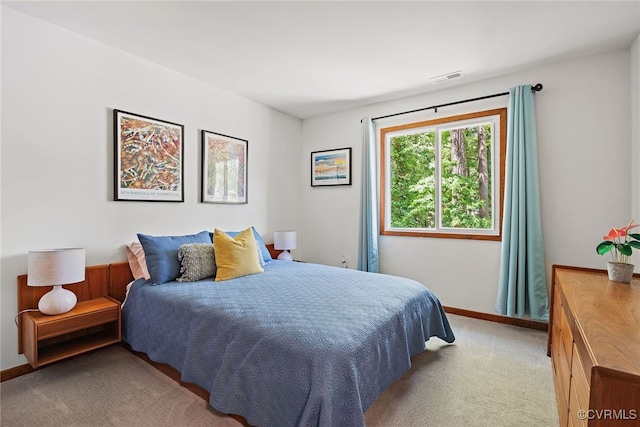2805 Meeting Gate Ct, Chesterfield, VA 23112 - bedroom with carpet floors and baseboards