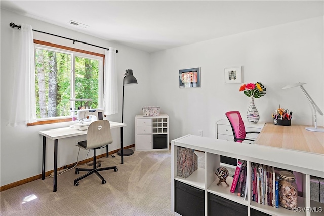 2805 Meeting Gate Ct, Chesterfield, VA 23112 - home office featuring light carpet and baseboards