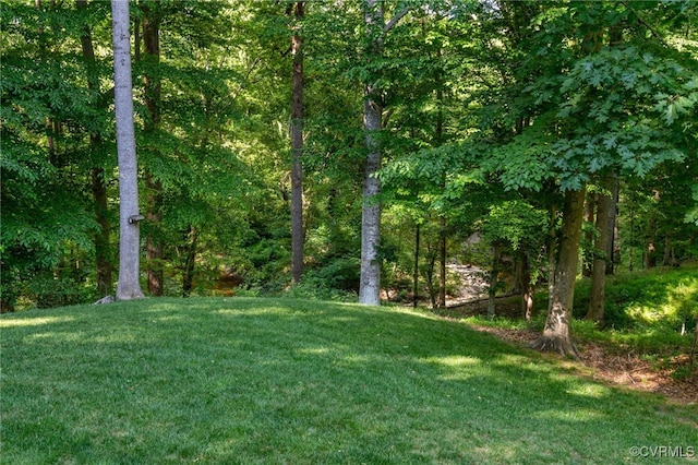 12300 Wynnstay Ln, Chesterfield, VA 23838 - view of green lawn featuring a wooded view