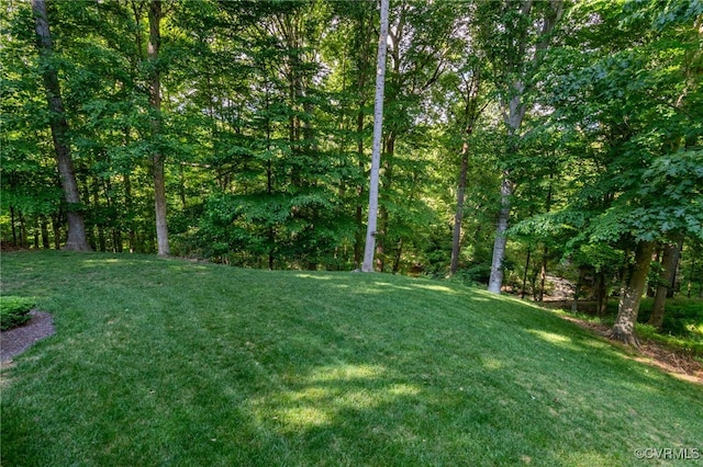12300 Wynnstay Ln, Chesterfield, VA 23838 - view of grassy yard