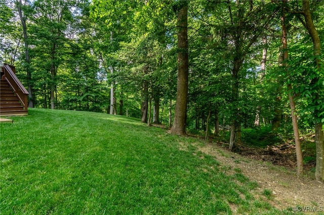 12300 Wynnstay Ln, Chesterfield, VA 23838 - view of grassy yard with stairs