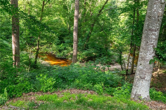 12300 Wynnstay Ln, Chesterfield, VA 23838 - view of woods