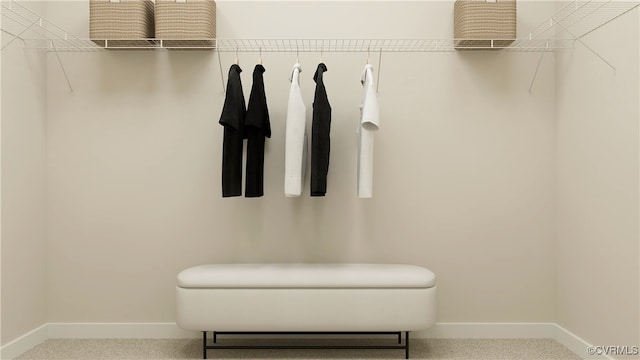 6641 Cassia Loop, Moseley, VA 23120 - walk in closet featuring carpet flooring