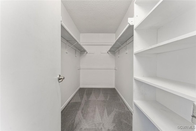 14323 Spring Gate Ct, Chesterfield, VA 23112 - spacious closet featuring carpet flooring