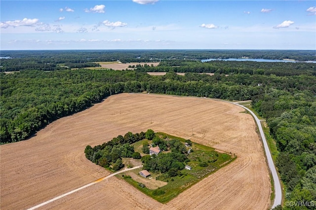 583 Slabtown Rd, Lancaster, VA 22503 - drone / aerial view of a forest