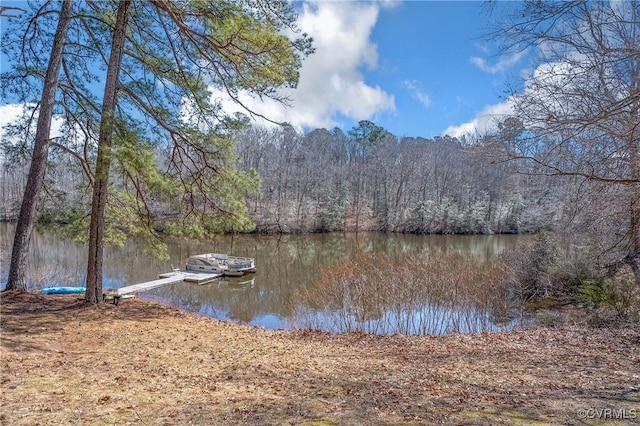 14401 Doctors Creek Rd, Lanexa, VA 23089 - water view with a heavily wooded area and a floating dock