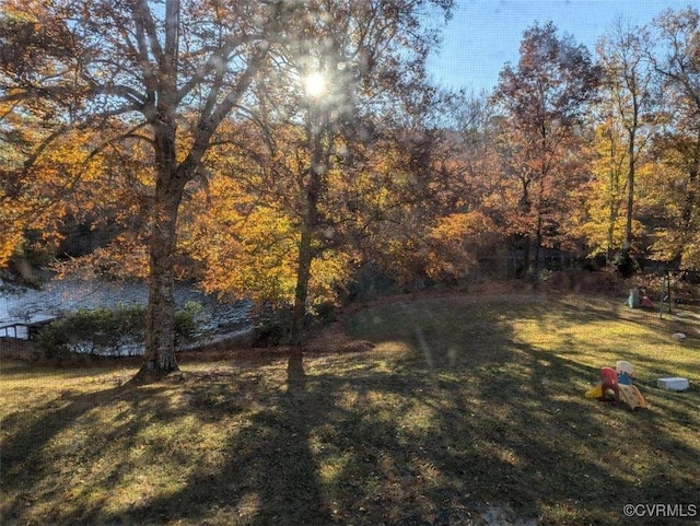 14401 Doctors Creek Rd, Lanexa, VA 23089 - view of green lawn with a forest view