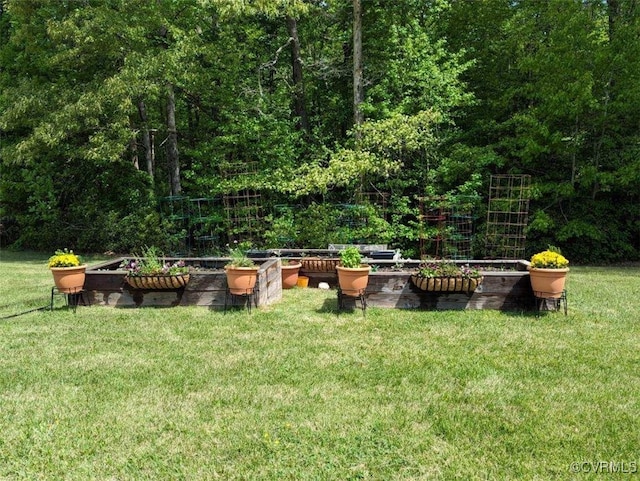 14401 Doctors Creek Rd, Lanexa, VA 23089 - view of green lawn with a vegetable garden and a forest view