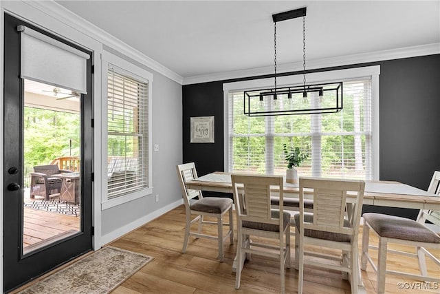 16319 Aklers Pl, Moseley, VA 23832 - dining room with ornamental molding, wood finished floors, and baseboards