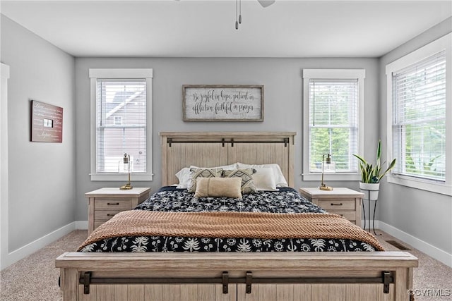 16319 Aklers Pl, Moseley, VA 23832 - bedroom with carpet, baseboards, and a ceiling fan