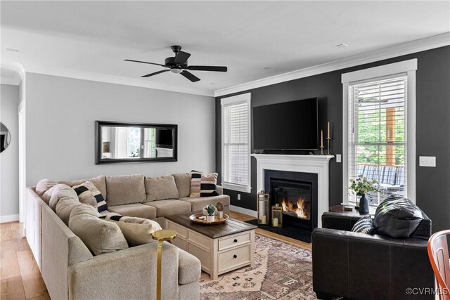 16319 Aklers Pl, Moseley, VA 23832 - living room featuring light wood-style floors, healthy amount of natural light, ornamental molding, a ceiling fan, and a fireplace with flush hearth