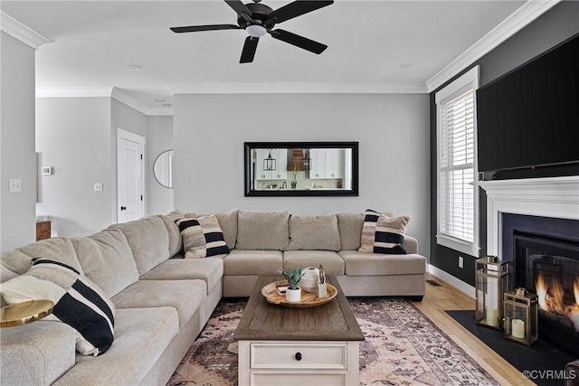 16319 Aklers Pl, Moseley, VA 23832 - living area featuring light wood-style flooring, ceiling fan, crown molding, a fireplace with flush hearth, and baseboards