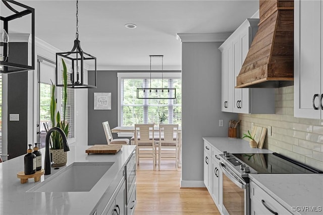 16319 Aklers Pl, Moseley, VA 23832 - kitchen with stainless steel appliances, premium range hood, decorative backsplash, a sink, and light wood-type flooring