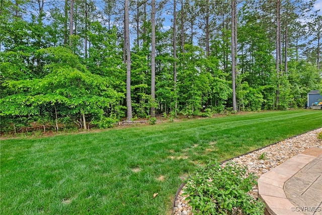 16319 Aklers Pl, Moseley, VA 23832 - view of grassy yard