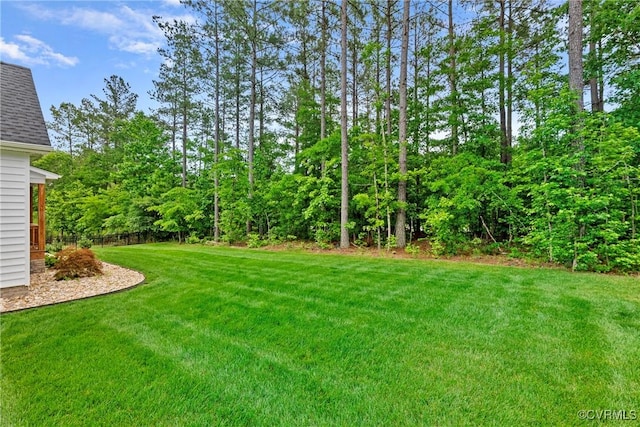 16319 Aklers Pl, Moseley, VA 23832 - view of green lawn
