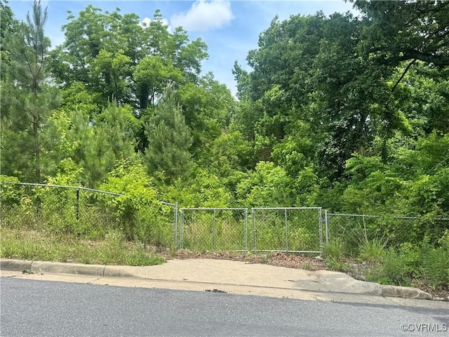 2403 Oakland Ave, Richmond, VA 23224 - photo 2