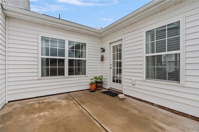 319 Wendenburg Ter, King William, VA 23009 - view of patio