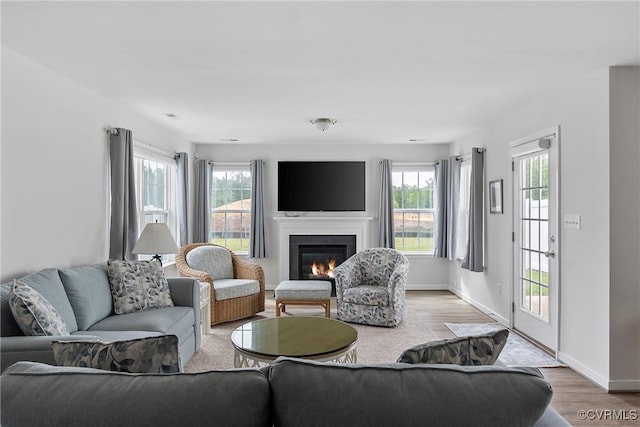319 Wendenburg Ter, King William, VA 23009 - living room featuring a glass covered fireplace, light wood-style floors, and baseboards