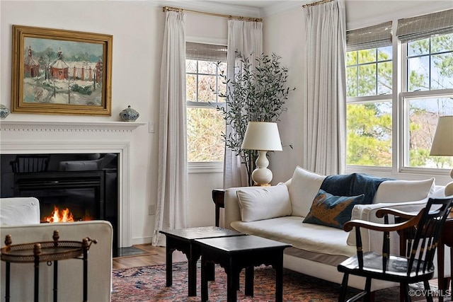 3401 Coles Point Way Unit A, Henrico, VA 23060 - living area featuring a warm lit fireplace