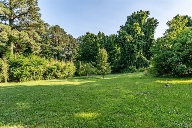 3411 Sylvania Rd, Chester, VA 23831 - view of grassy yard