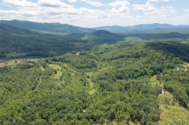 00 Puppy Creek Rd, Amherst, VA 24521