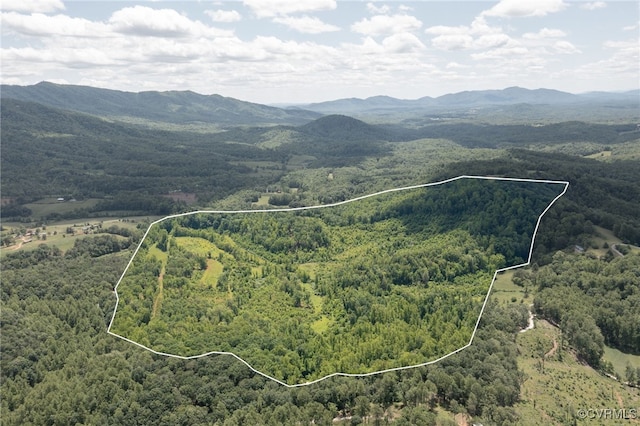 00 Puppy Creek Rd, Amherst, VA 24521