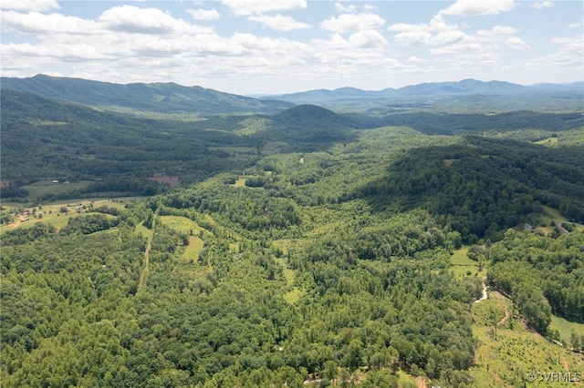 00 Puppy Creek Rd, Amherst, VA 24521