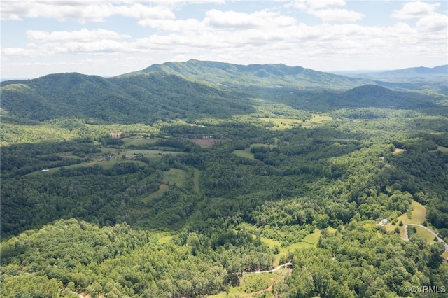 00 Puppy Creek Rd, Amherst, VA 24521