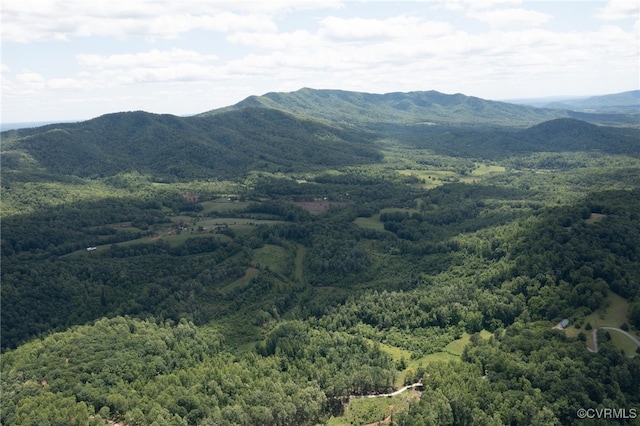 00 Puppy Creek Rd, Amherst, VA 24521
