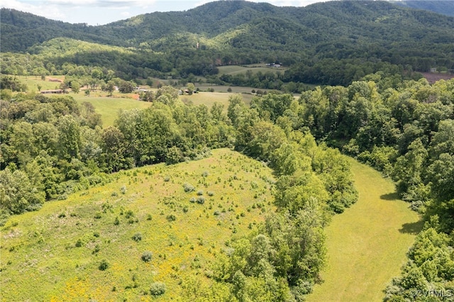 00 Puppy Creek Rd, Amherst, VA 24521