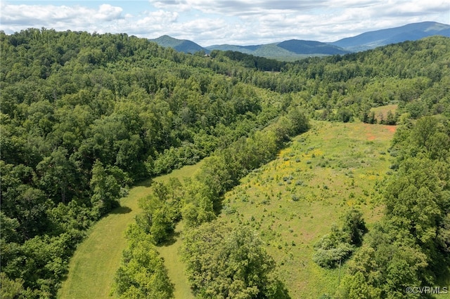 00 Puppy Creek Rd, Amherst, VA 24521