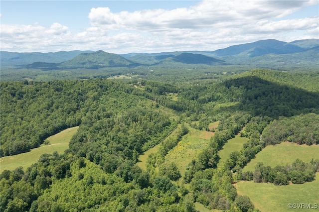 00 Puppy Creek Rd, Amherst, VA 24521