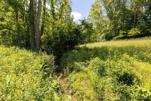 00 Puppy Creek Rd, Amherst, VA 24521