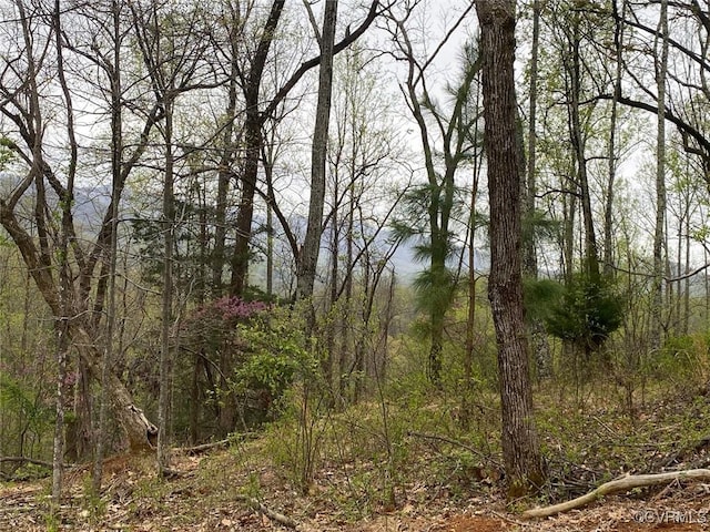 0 Amherst, Amherst, VA 20115