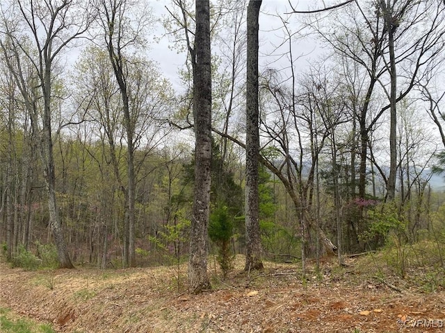 0 Amherst, Amherst, VA 20115