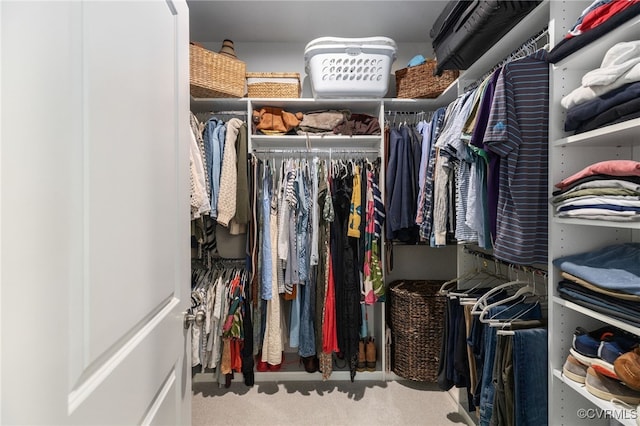 1900 Roseneath Rd Unit 8B, Richmond, VA 23230 - walk in closet with carpet floors