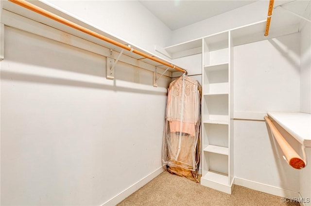 5605 Hunters Glen Dr, Glen Allen, VA 23059 - walk in closet featuring carpet