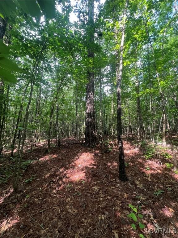 00 Country Ln, Gasburg, VA 23857 - photo 3