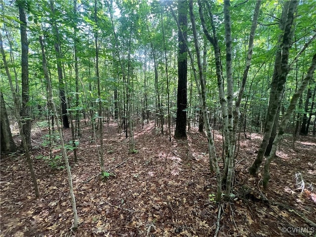 00 Country Ln, Gasburg, VA 23857 - photo 4