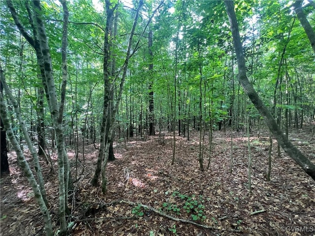 00 Country Ln, Gasburg, VA 23857 - photo 5