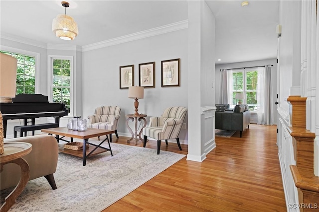 11137 Sterling Cove Dr, Chesterfield, VA 23838 - living area featuring light wood-style flooring, ornamental molding, and baseboards